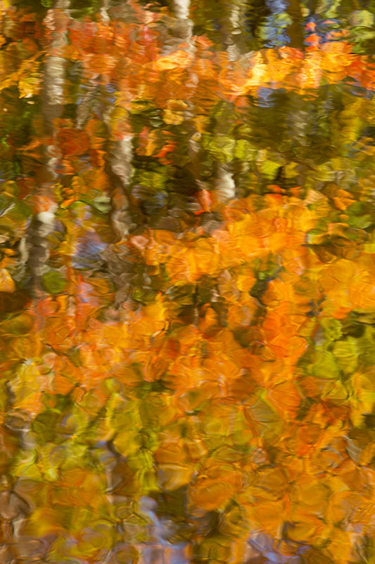 fall mosaic abstract